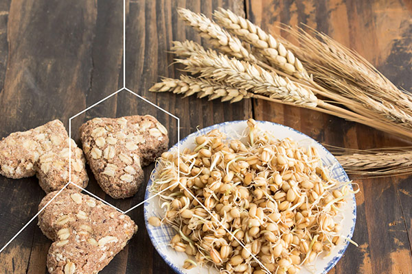 تاثیر پودر جوانه گندم بر لاغری